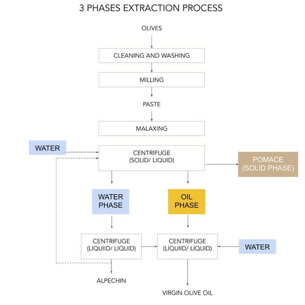3 phases extraction process