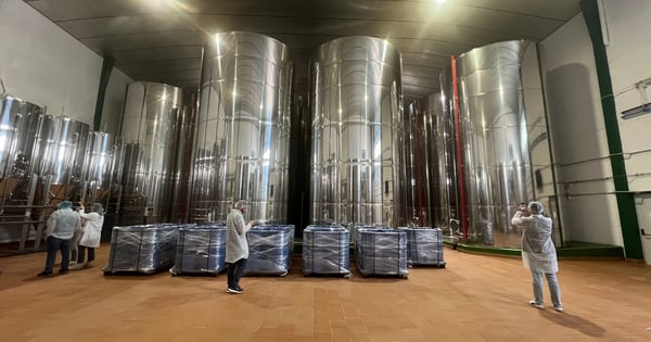 grupo de trabajadores en los depositos de la almazara