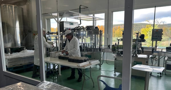 expertos en calidad de aceite preparando muestras