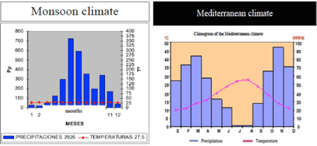 monsoon-and-mediterranean-climate