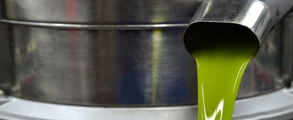 negocios-sostenibles-20-claves-para-la-transformacion-de-las-empresas-oleicolas
