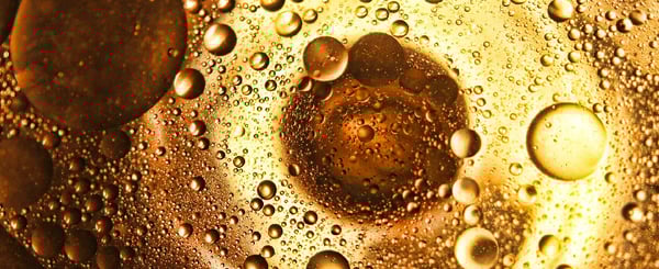 Pasos en la elaboración del aceite de oliva virgen