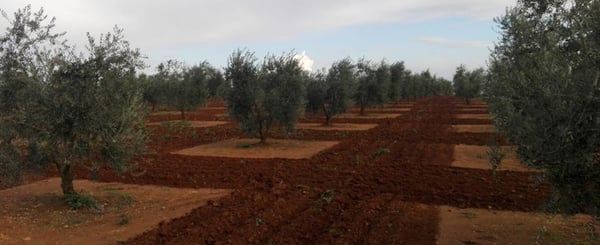 total-partial-and-no-tilling-and-bare-soil-year-round