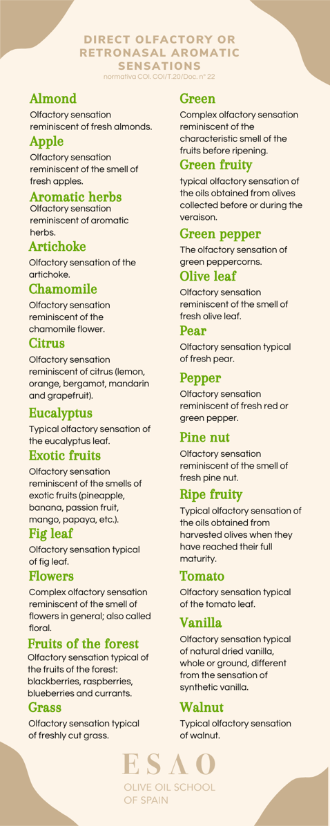 Olive Oil Descriptors infographics. ESAO Image Bank