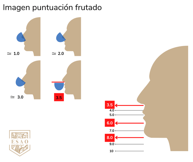 Gráfico_ Puntuación Frutado cata