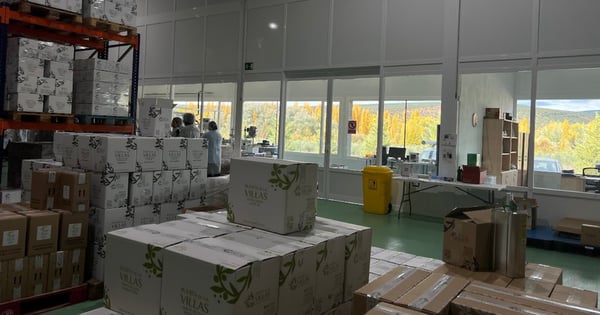 Certificaciones para almazaras