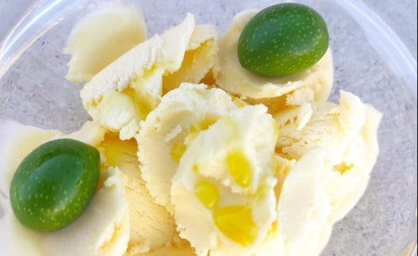 aove elaboración helado