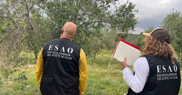 Visita de campo en Enguera