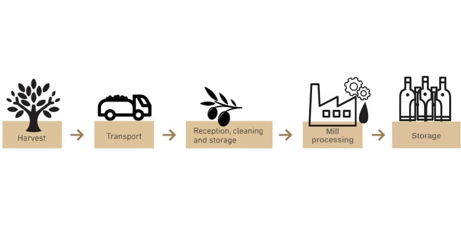 Olive oil making process