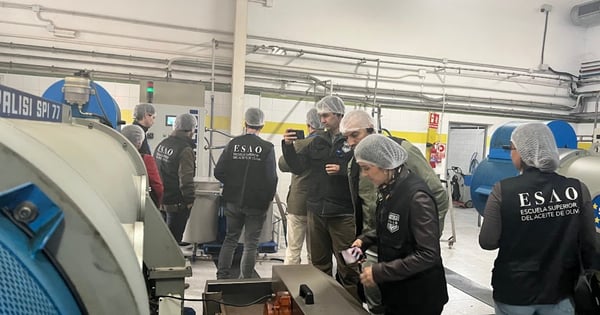 personas inspeccionando una almazara