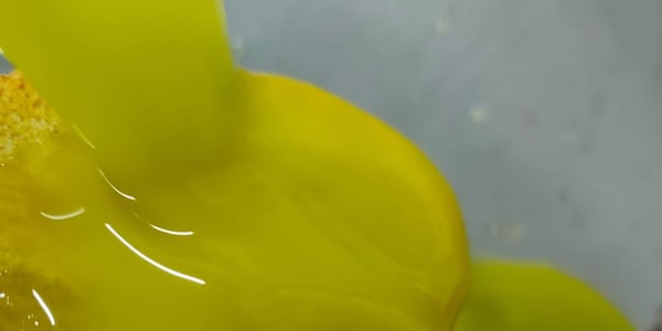 extra virgin olive oil freshly extracted