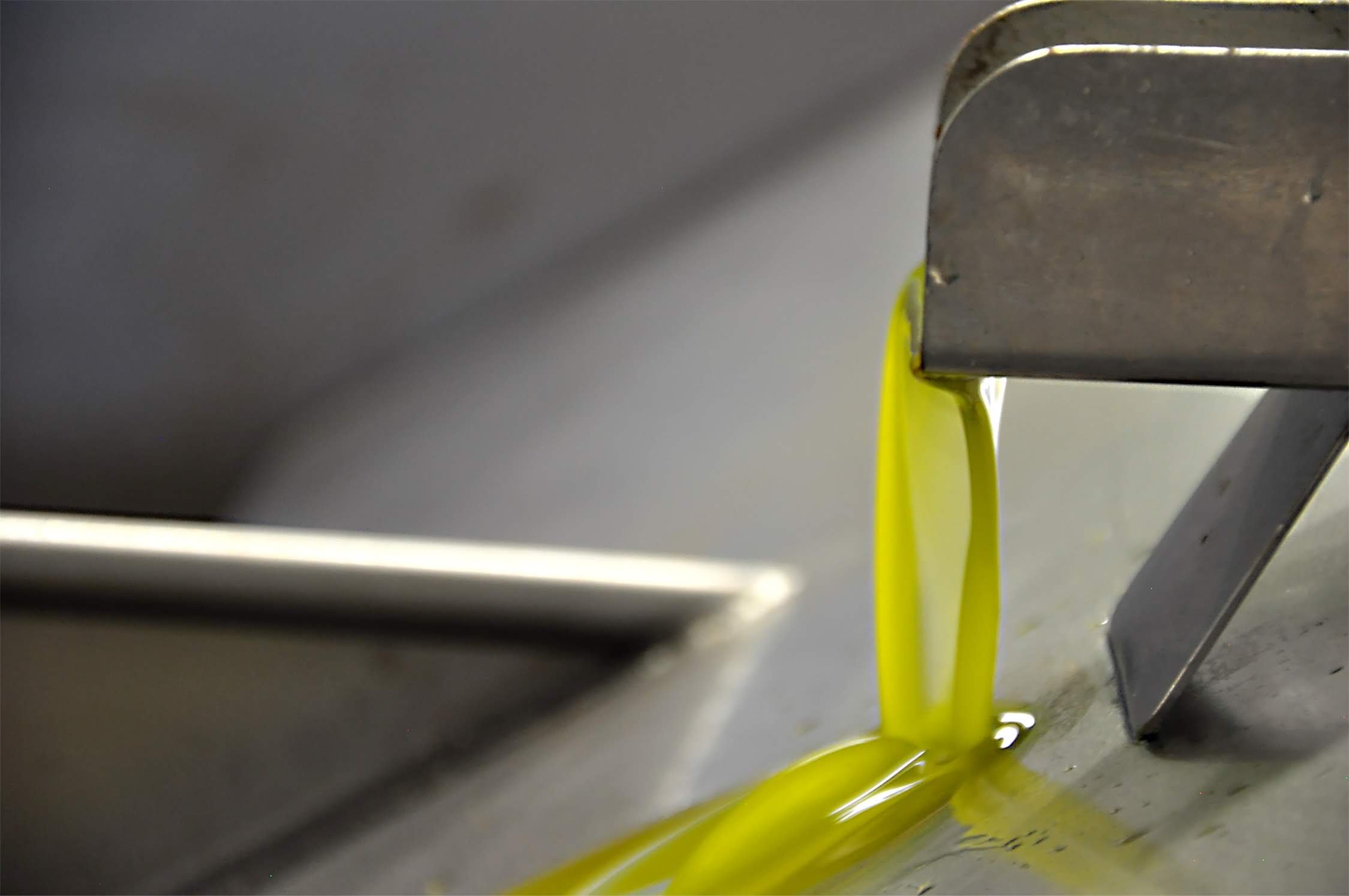 fresh olive oil being extracted in the mill