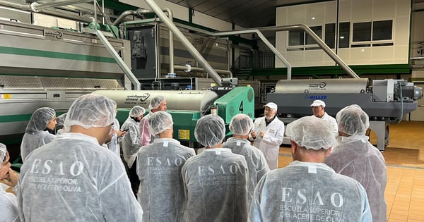 alumni de ESAO aprendiendo en almazara