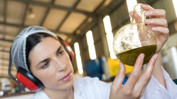 3 Keys to improve sales and the price of your olive oil