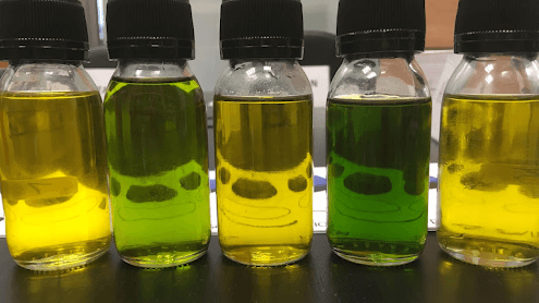 olive oil sector