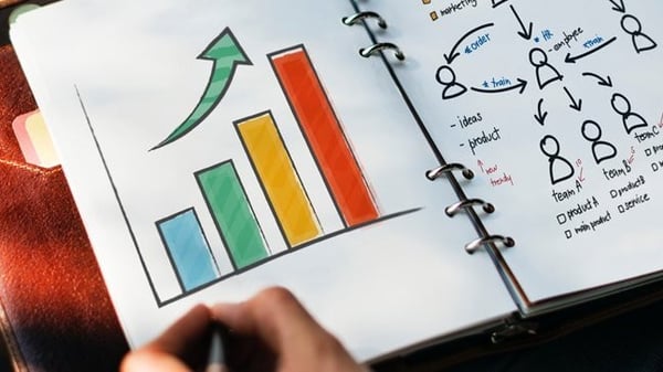 Reinventing the business model in the olive oil sector