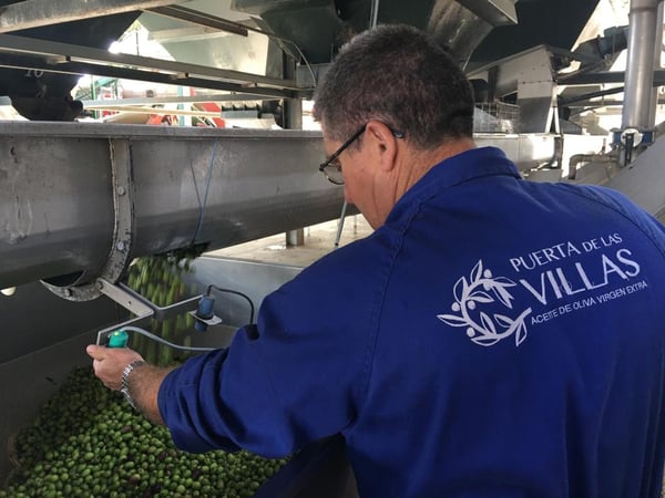 Olive Oil Master Miller