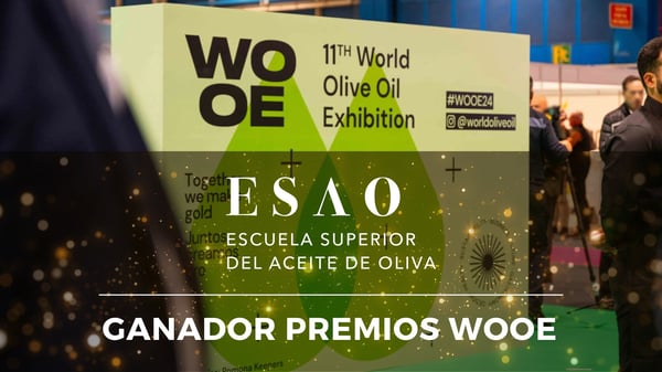 ESAO, galardonada en los Premios WOOE