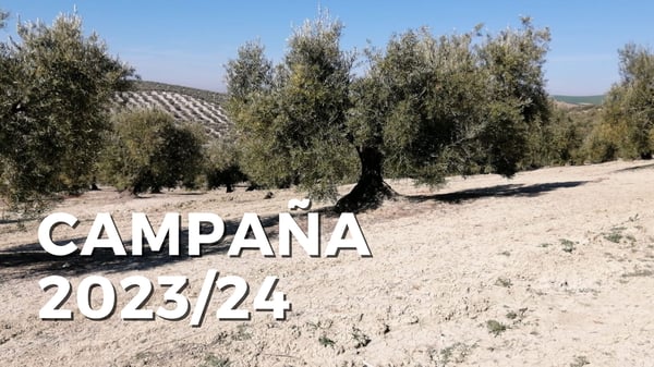 Previsión producción de Aceite de Oliva en España Campaña 2023/24