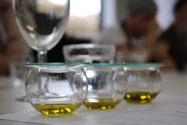 aceite de oliva virgen extra