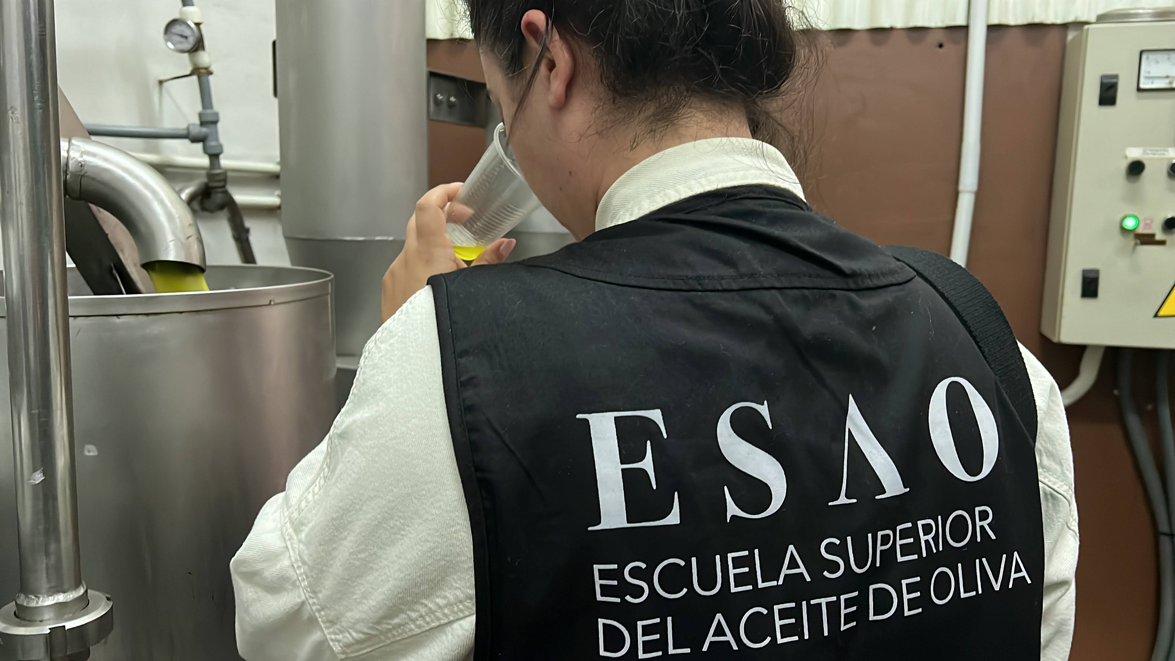 Expert in the olive oil sector assessing its quality