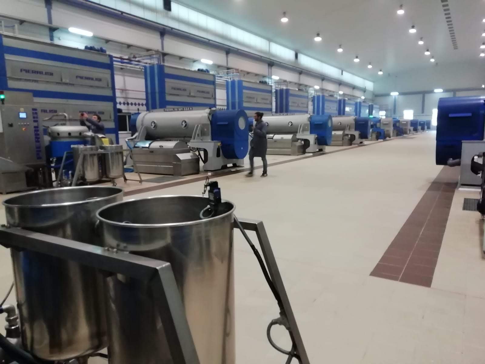 Digitalización en almazara moderna