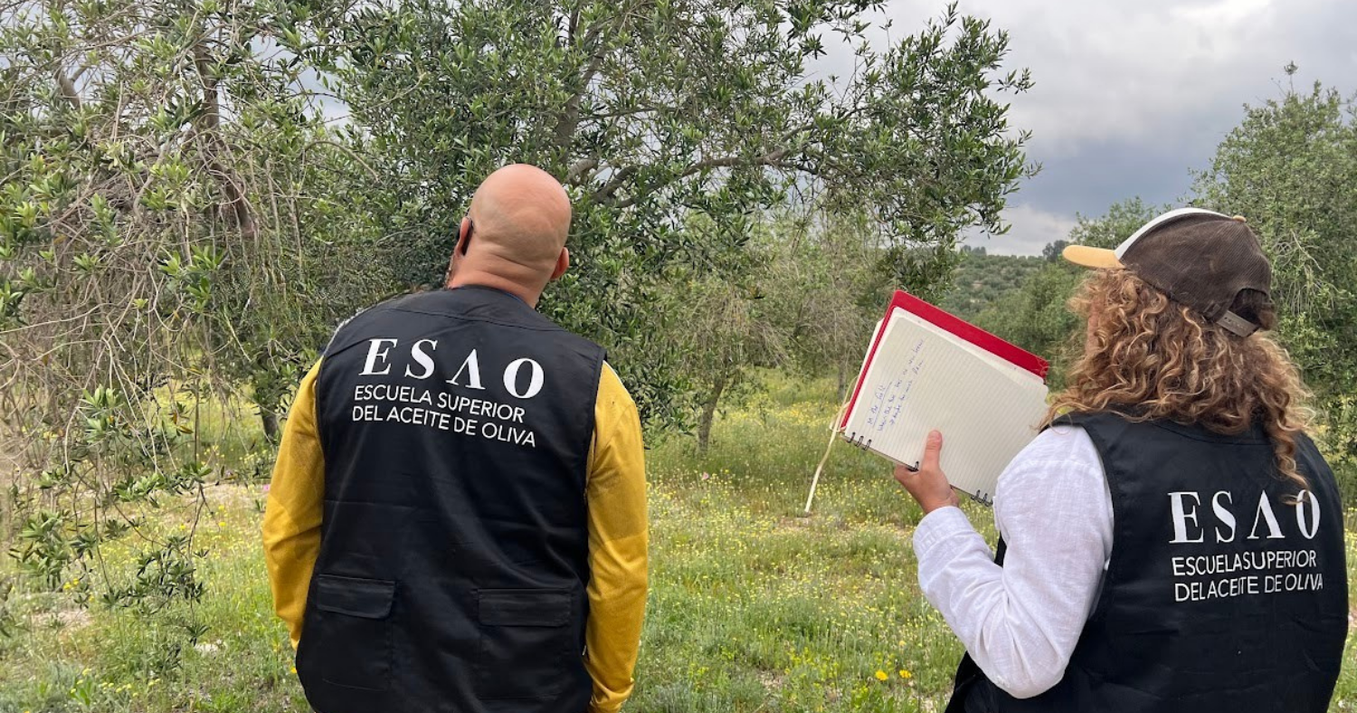 Field visit in Enguera
