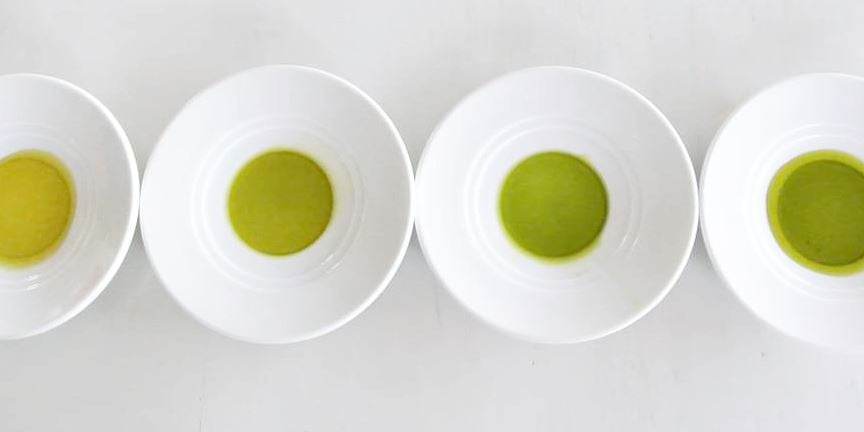 Types of olive oil in plates, different colors, olive green, gold yellow