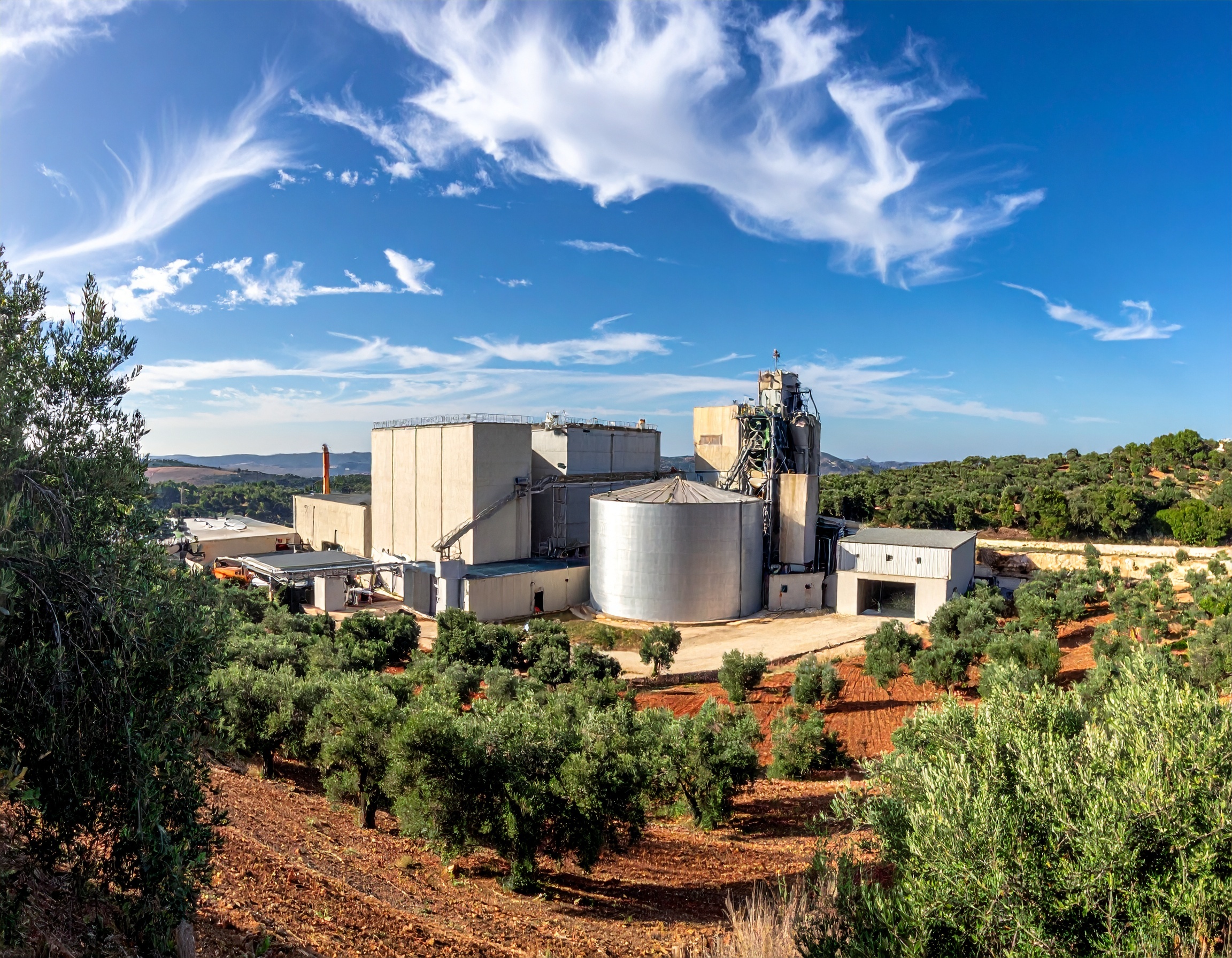 Caso de éxito almazara: vista panorámica de una moderna fábrica de aceite de oliva en Jaén, rodeada de olivos, con operarios trabajando en el proceso de elaboración del AOVE.