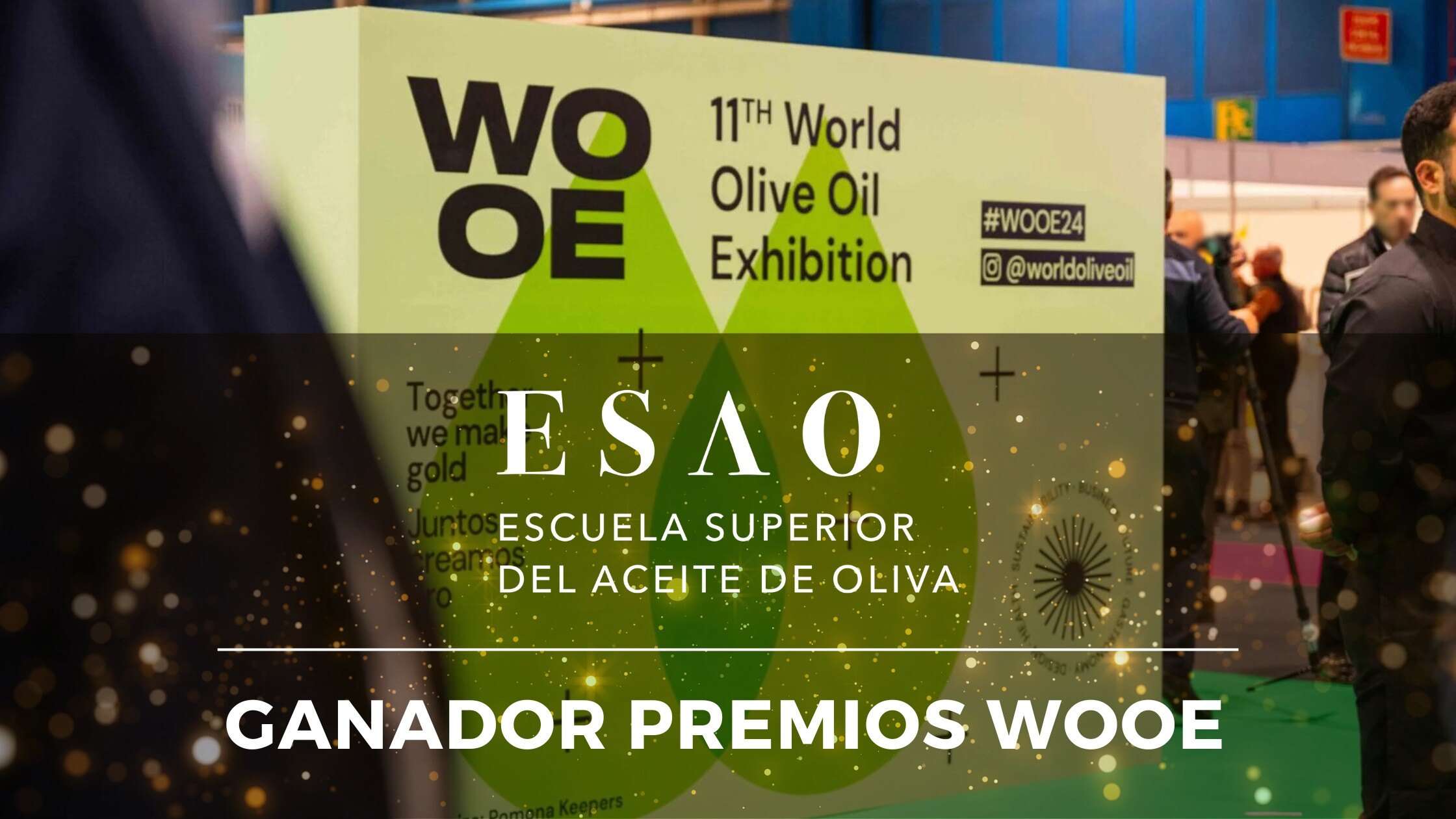 ESAO, galardonada en los Premios WOOE